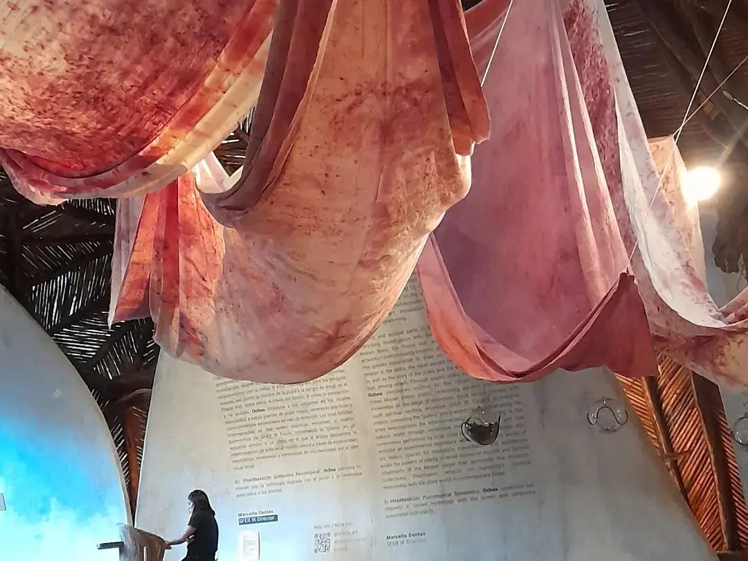 Pharmakon simbiótica psicotropical, SFER IK Museion