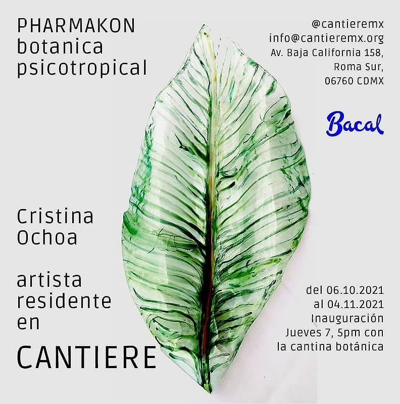 Cantiere