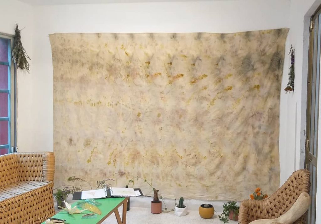 sala, tela teñida al vapor con Plantas medicinales