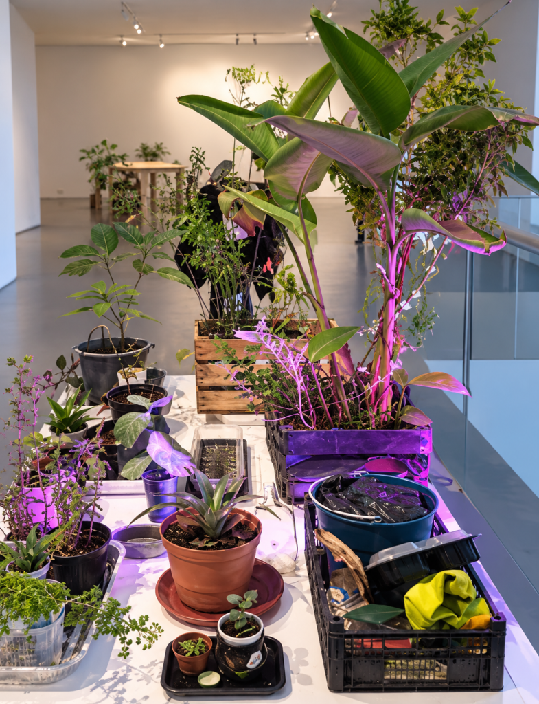 Jardin vista interior, Tiempo compartido