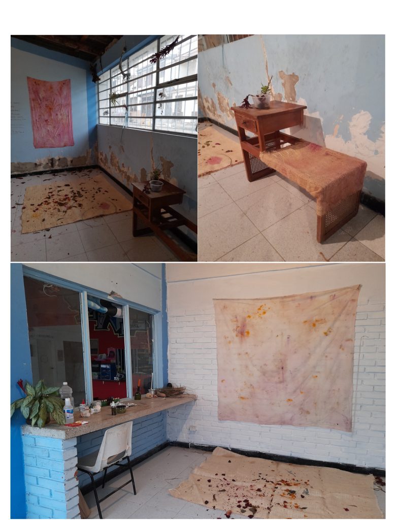 Olla herbal comunitaria